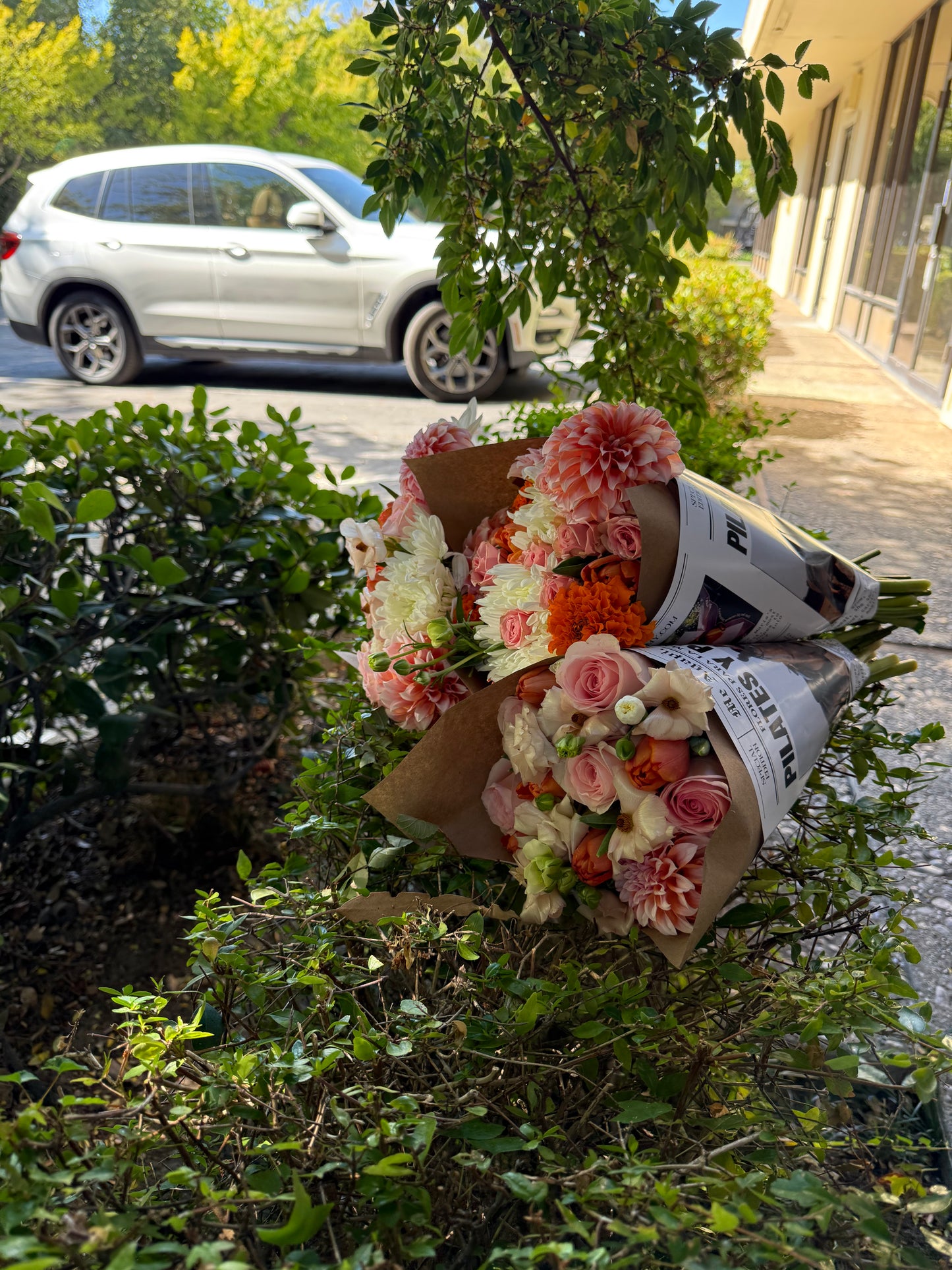 Pilates y Parranda Pre Sale