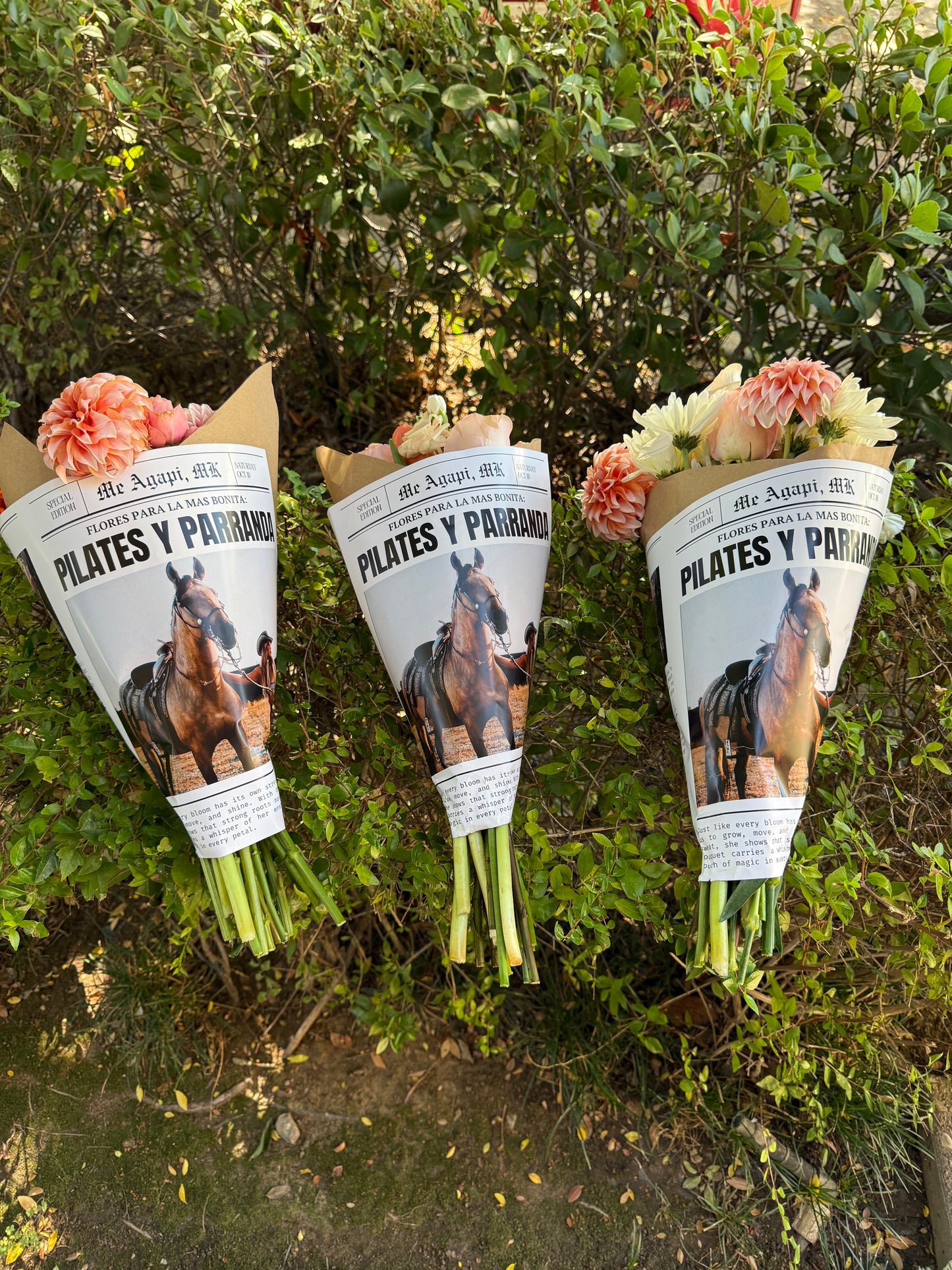 Pilates y Parranda Pre Sale